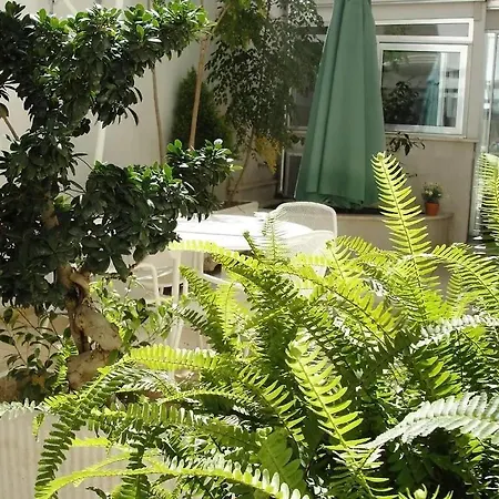 Alma Grande Apartament