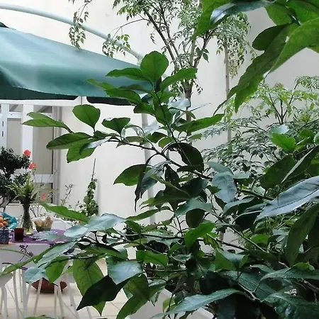 Apartment Alma Grande Turistic Location Brindisi
